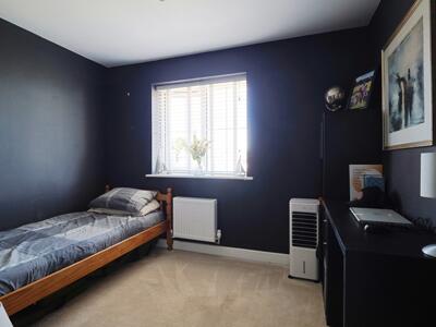 Picture 13